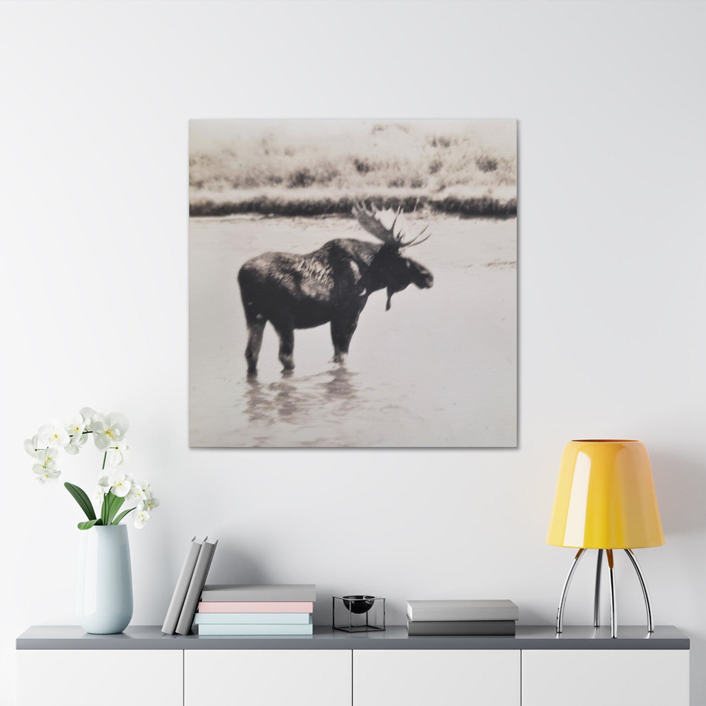 Yellowstone Bull Moose Canvas Gallery Wraps