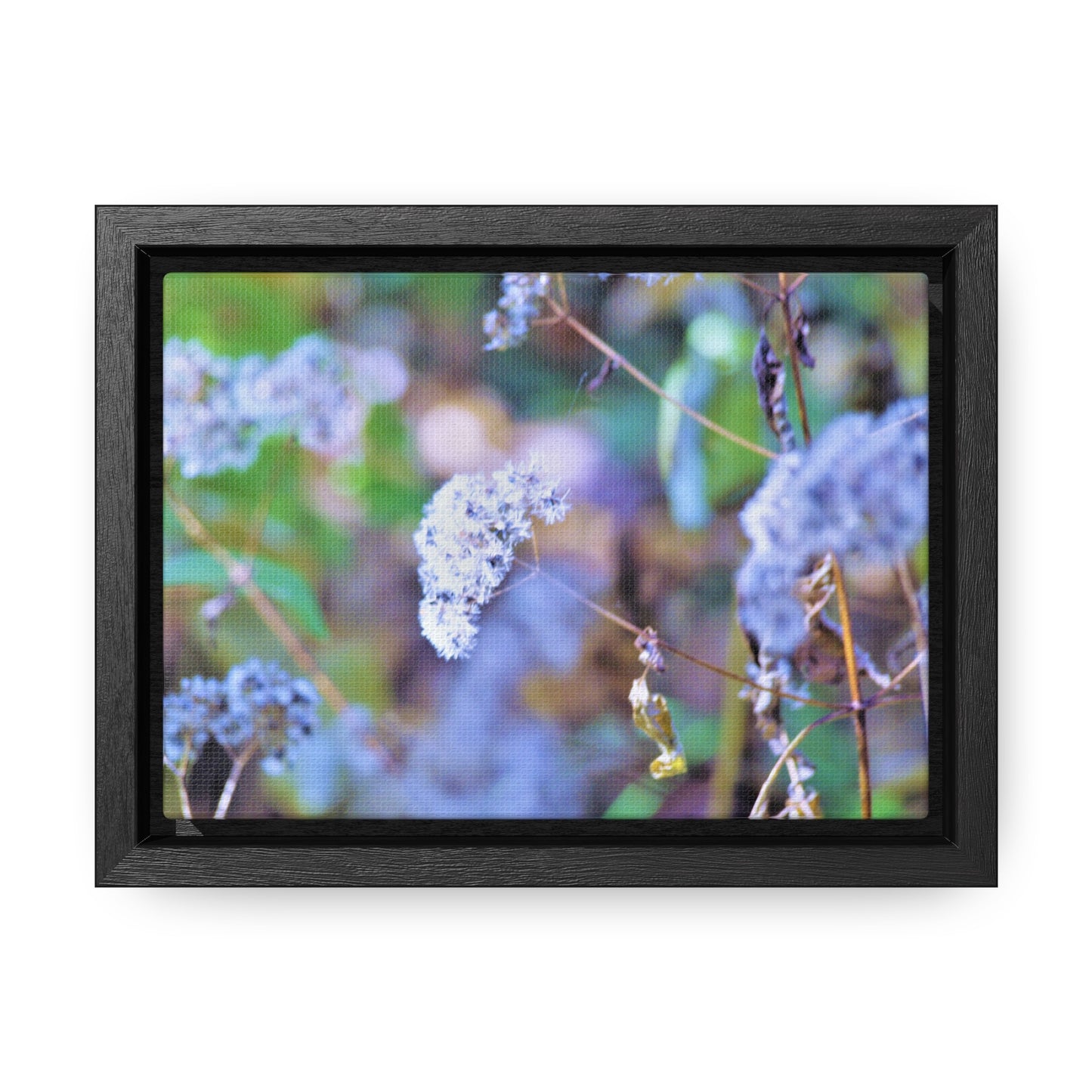 Macro Blue Gallery Canvas Wraps, Horizontal Frame