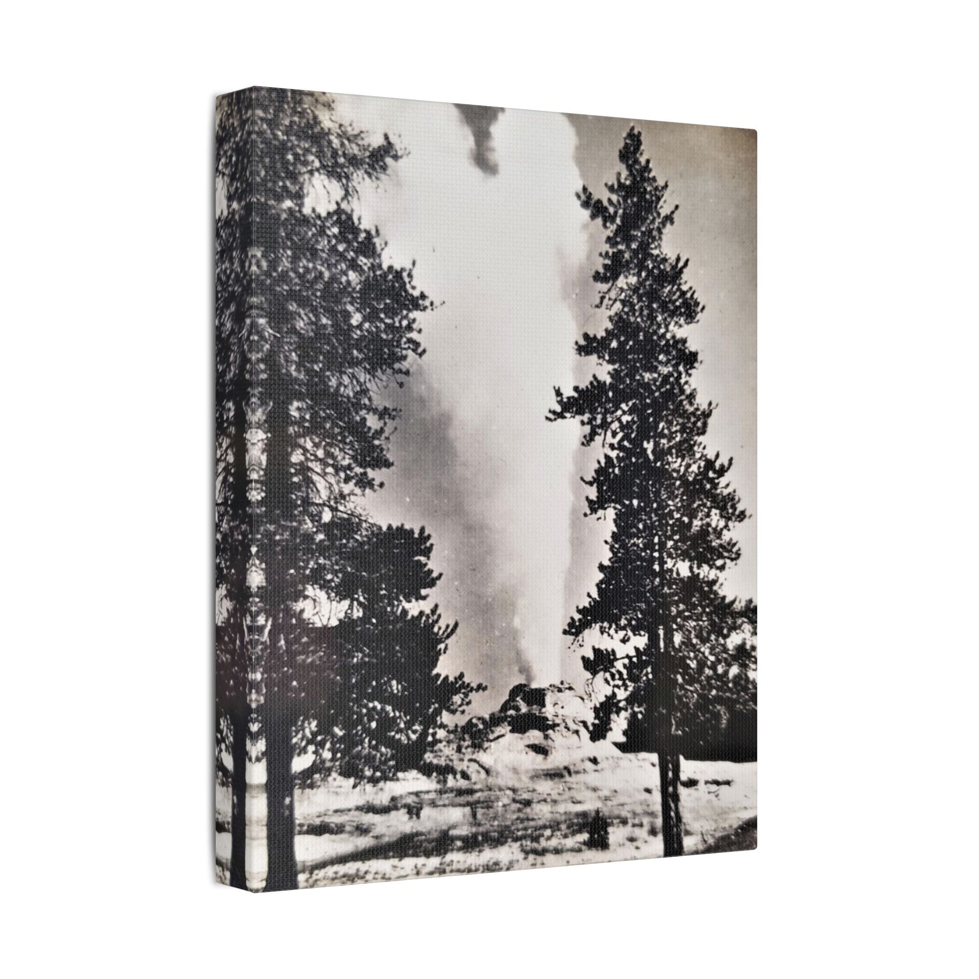 Castle Geyser Yellowstone Satin Canvas Stretched
