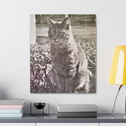 Caledonia Canvas Gallery Wraps 20″ x 24″ 1.25"