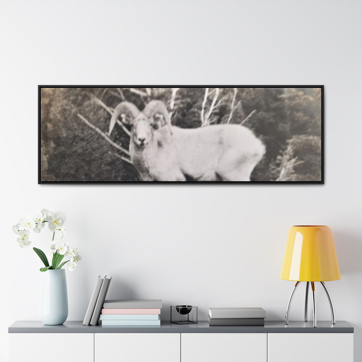 Yellowstone Big Horn Sheep Gallery Canvas Wraps, Horizontal Frame