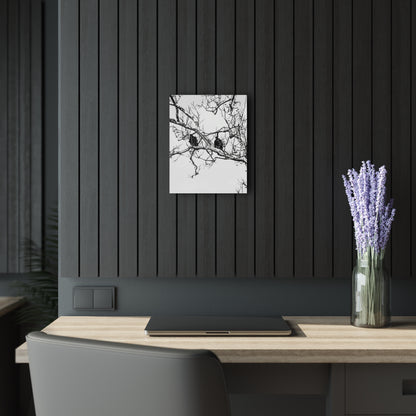 Black & White Buzzards Silhouette Acrylic Print — Modern Minimalist Wall Art - 11″ x 14″ (Vertical) 0.25'' - Home Decor