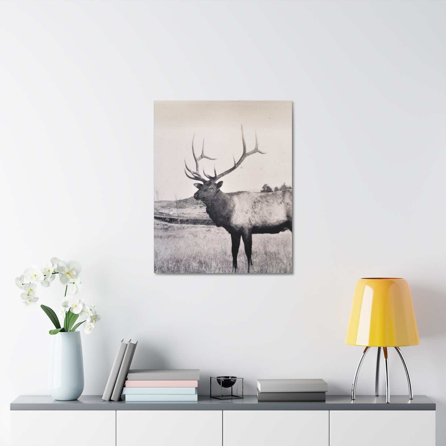 Yellowstone Bull Elk Stretched Canvas