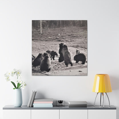 Yellowstone Grizzly Bears Canvas Gallery Wraps 36″ x 36″ 1.25"
