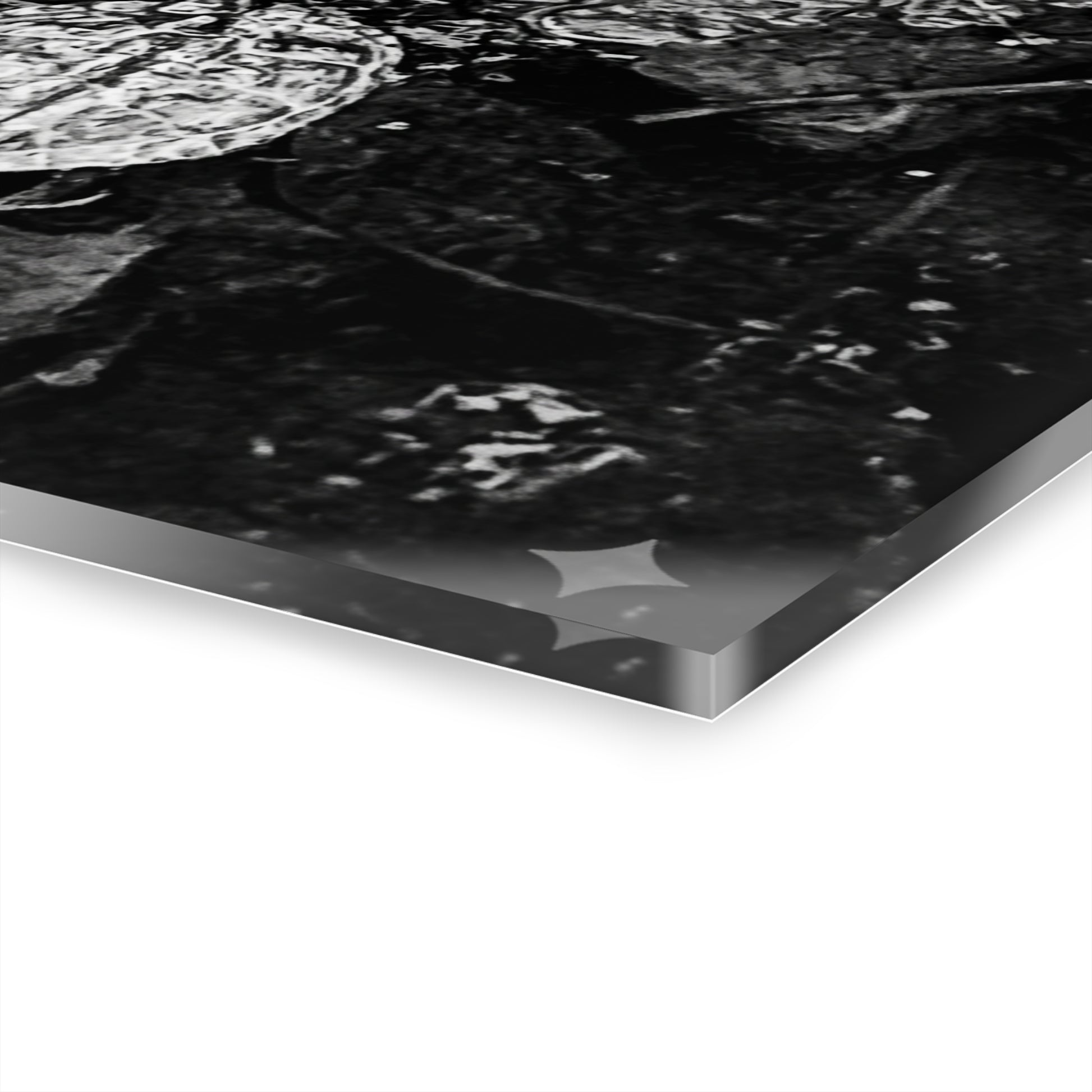 Black & White Turtle Macro Acrylic Print — Modern Nature Wall Art French Cleat Hanging - - Home Decor