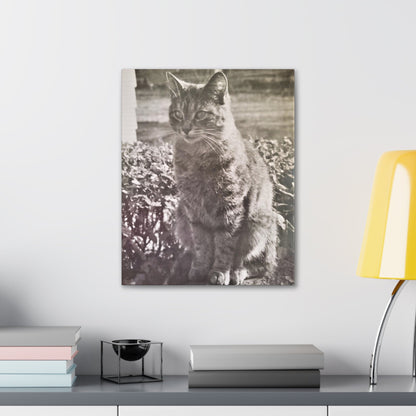 Caledonia Canvas Gallery Wraps 16″ x 20″ 1.25"