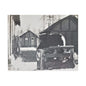 Yellowstone Bear Satin Canvas Stretched 30" x 24" (Horizontal) 1.5"