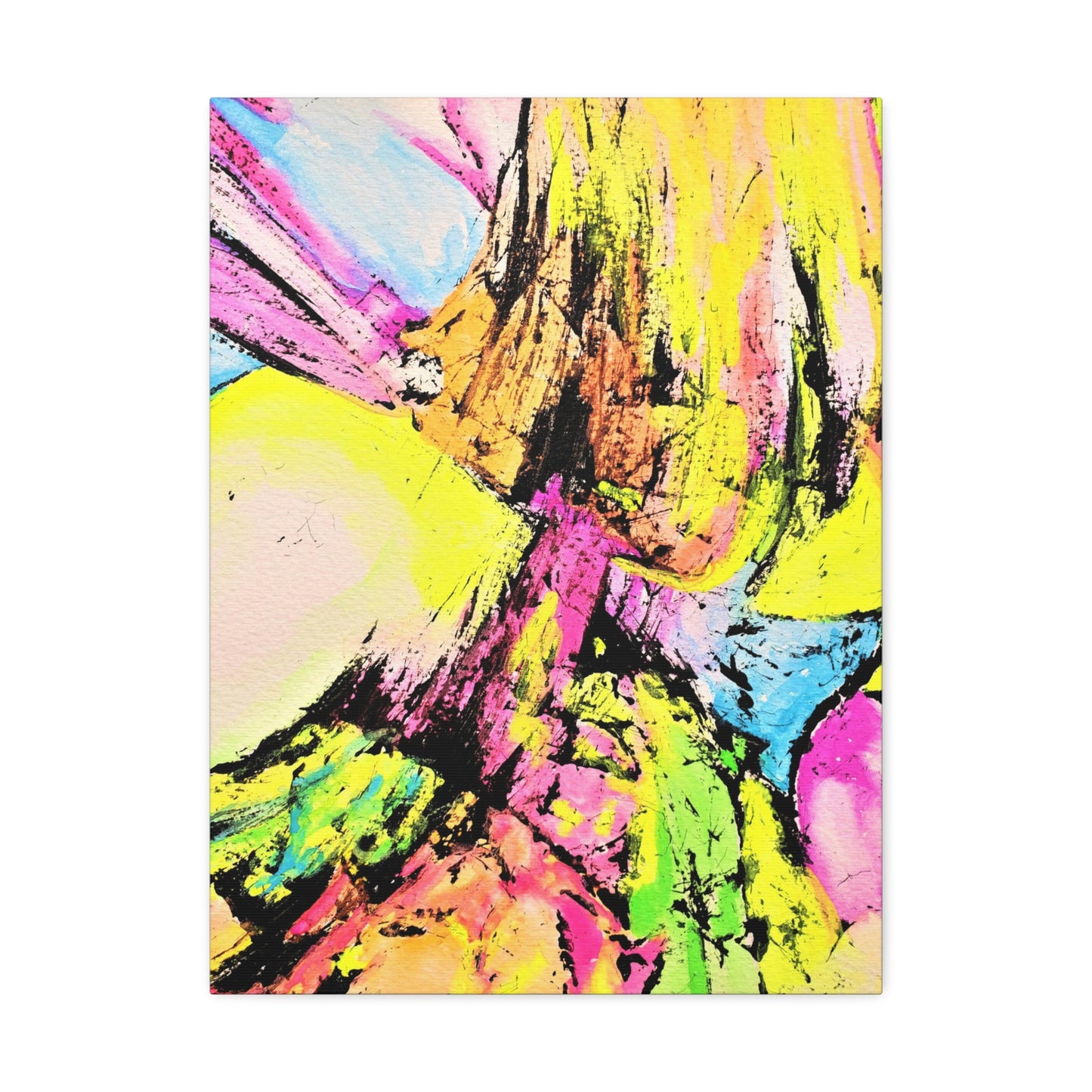 Fairies Delight Stretched Canvas