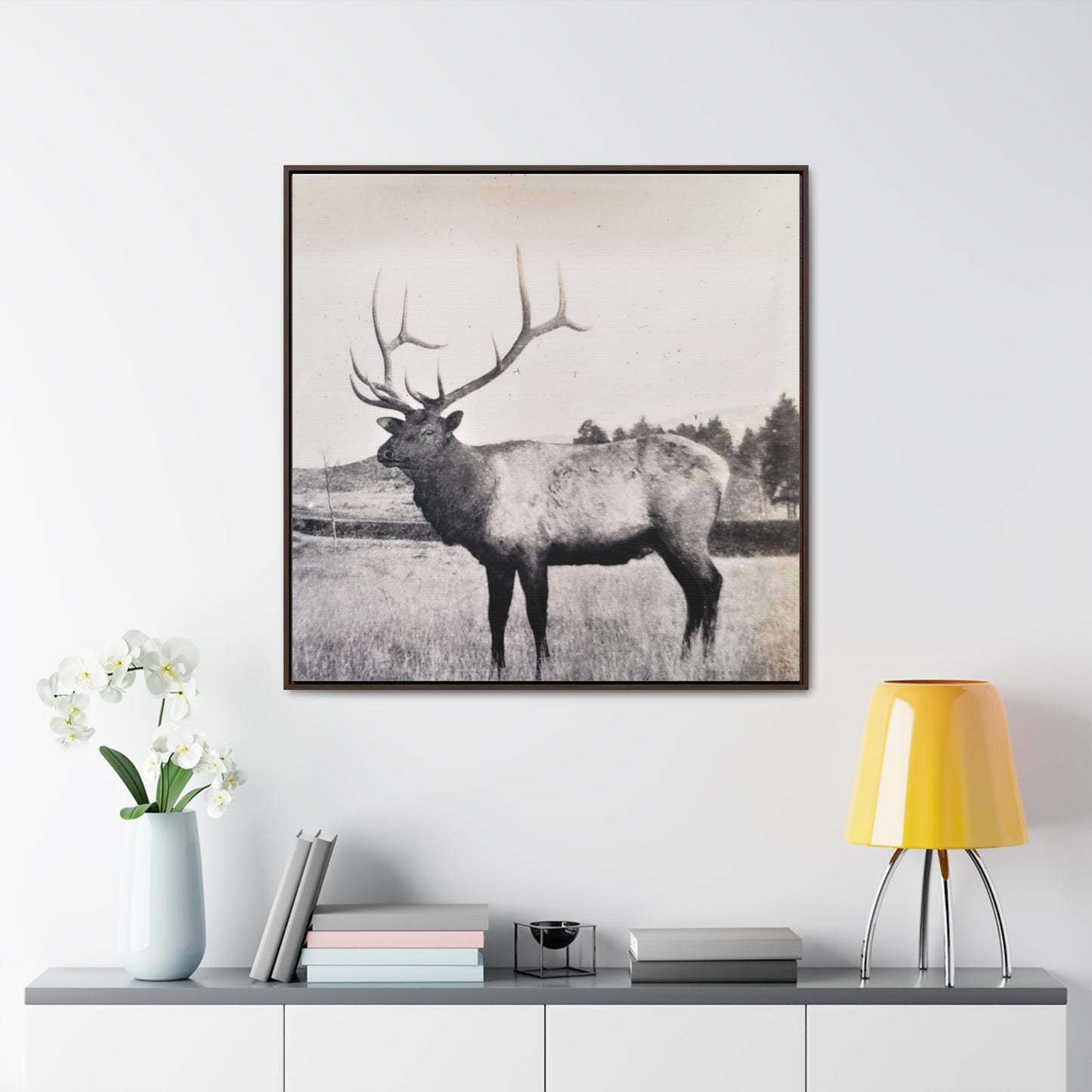 Yellowstone Bull Elk Gallery Canvas Wraps, Square Frame