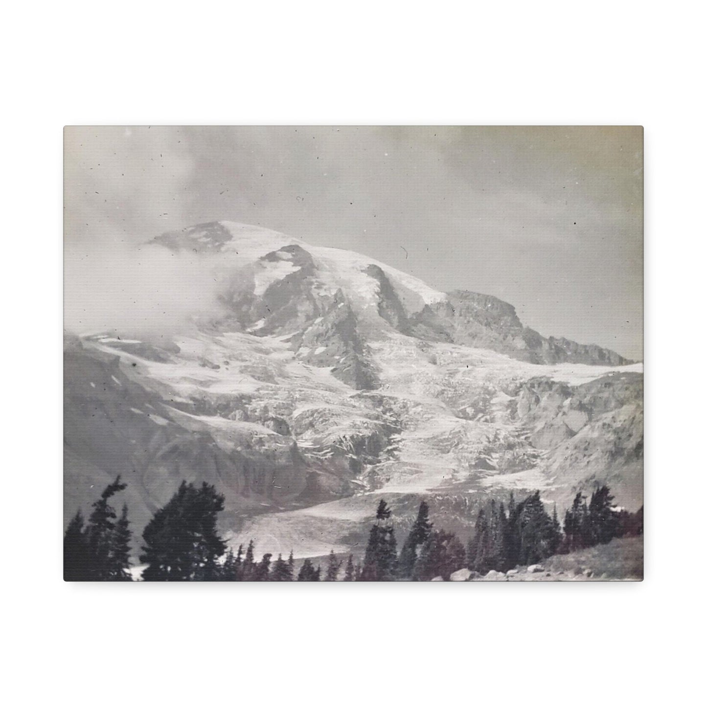 Mount Rainier Stretched Canvas