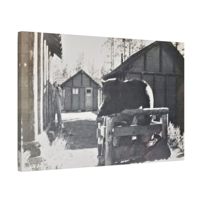 Yellowstone Bear Satin Canvas Stretched
