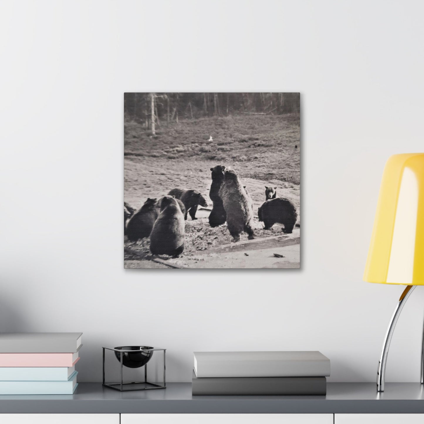 Yellowstone Grizzly Bears Canvas Gallery Wraps 16″ x 16″ 1.25"