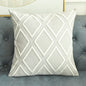 Modern Simple Pillow Cover Embroidered Cushion Cover light grey