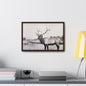 Yellowstone Bull Elk Gallery Canvas Wraps Horizontal Frame 18″ x 12″ Walnut Premium Gallery Wraps (1.25″)
