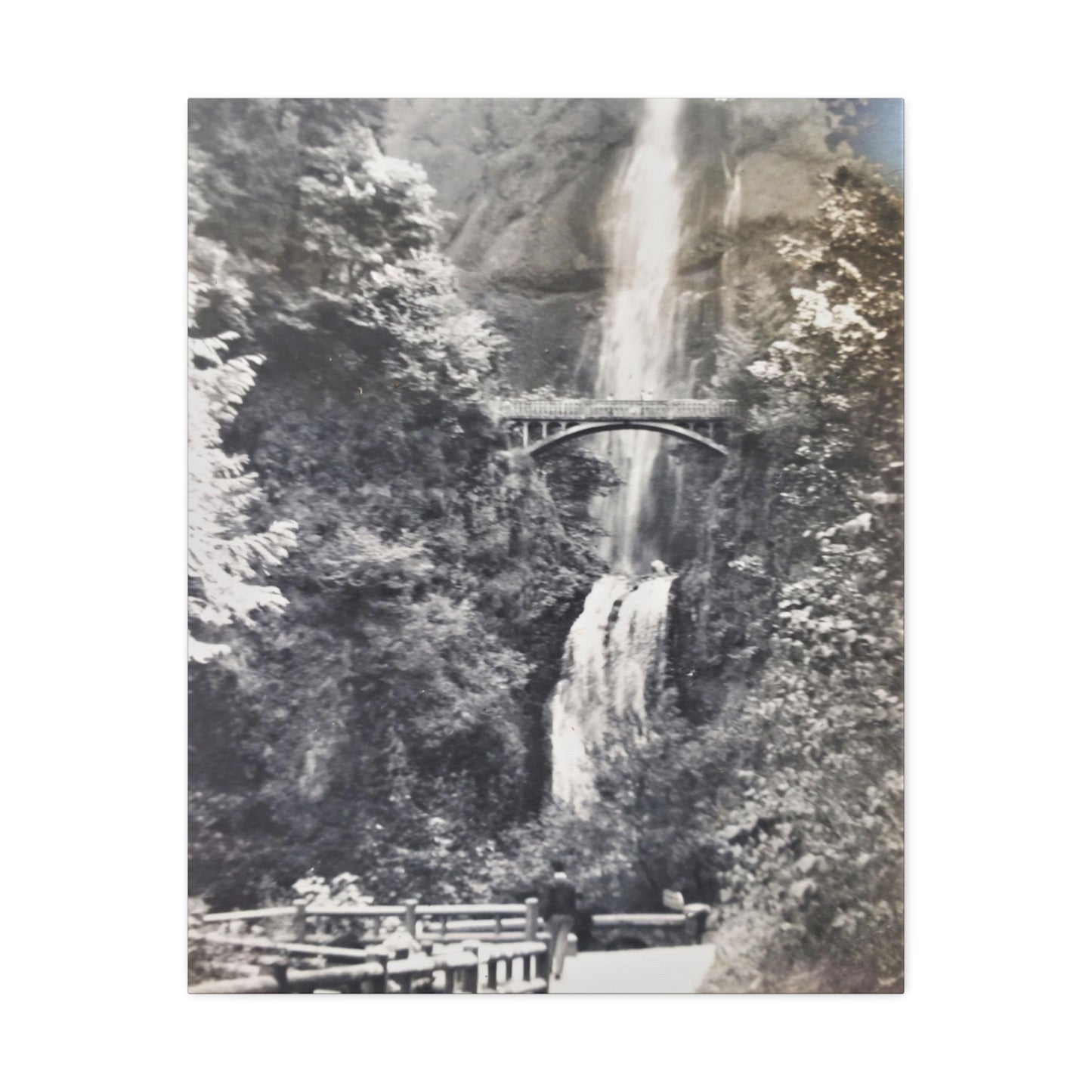 Multnomah Falls Oregon Stretched Canvas