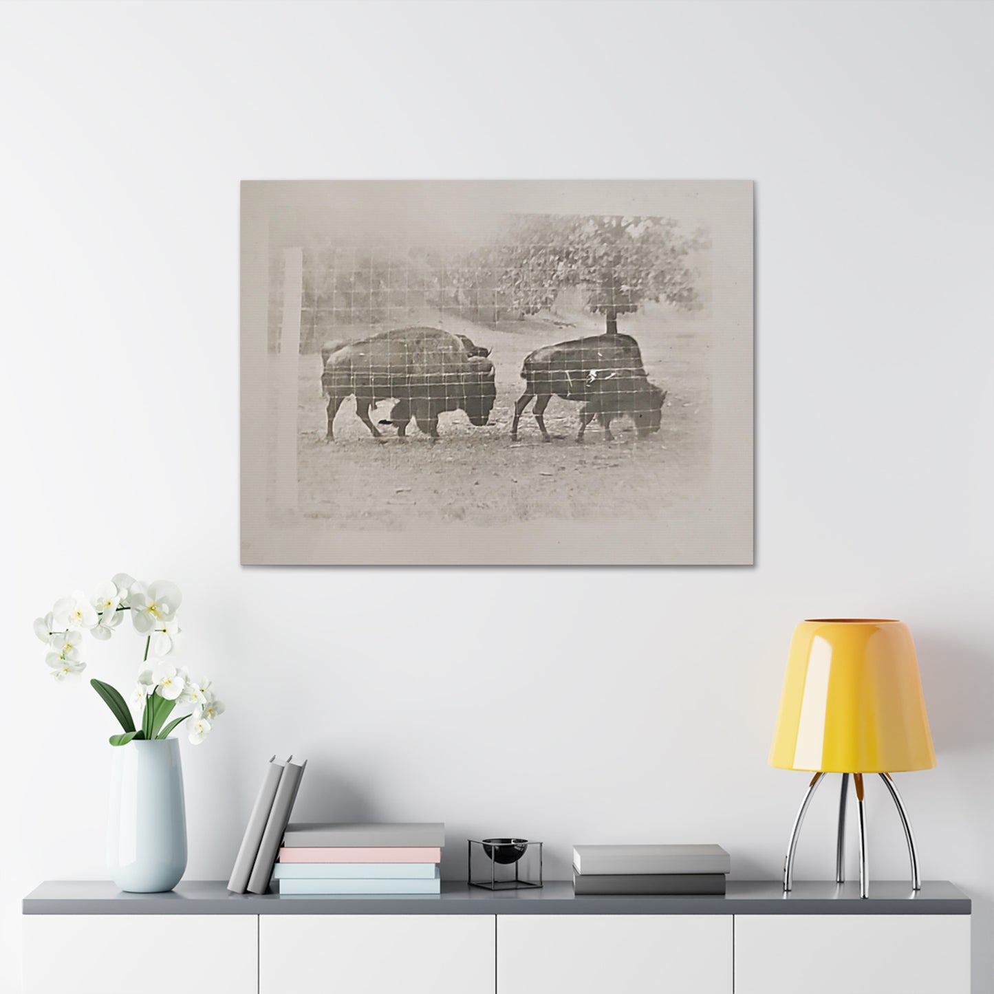 Buffalo at Redwood Falls Canvas Gallery Wraps