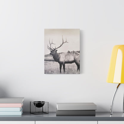 Yellowstone Bull Elk Satin Canvas Stretched 11″ x 14″ (Vertical) 1.5"