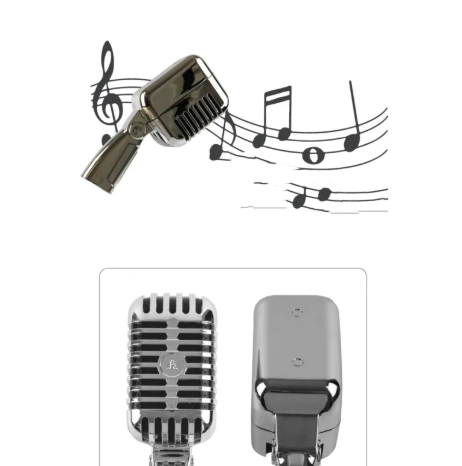 Microphone Shape Shower Head - - shower head