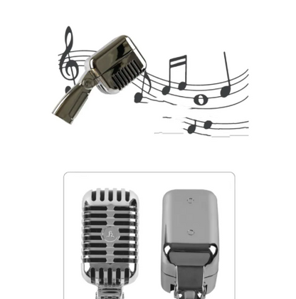 Microphone Shape Shower Head - - shower head