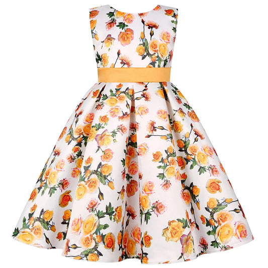 Flower Girls Summer Backless Big Bow Dress