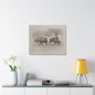 Buffalo at Redwood Falls Canvas Gallery Wraps 30″ x 24″ 1.25"