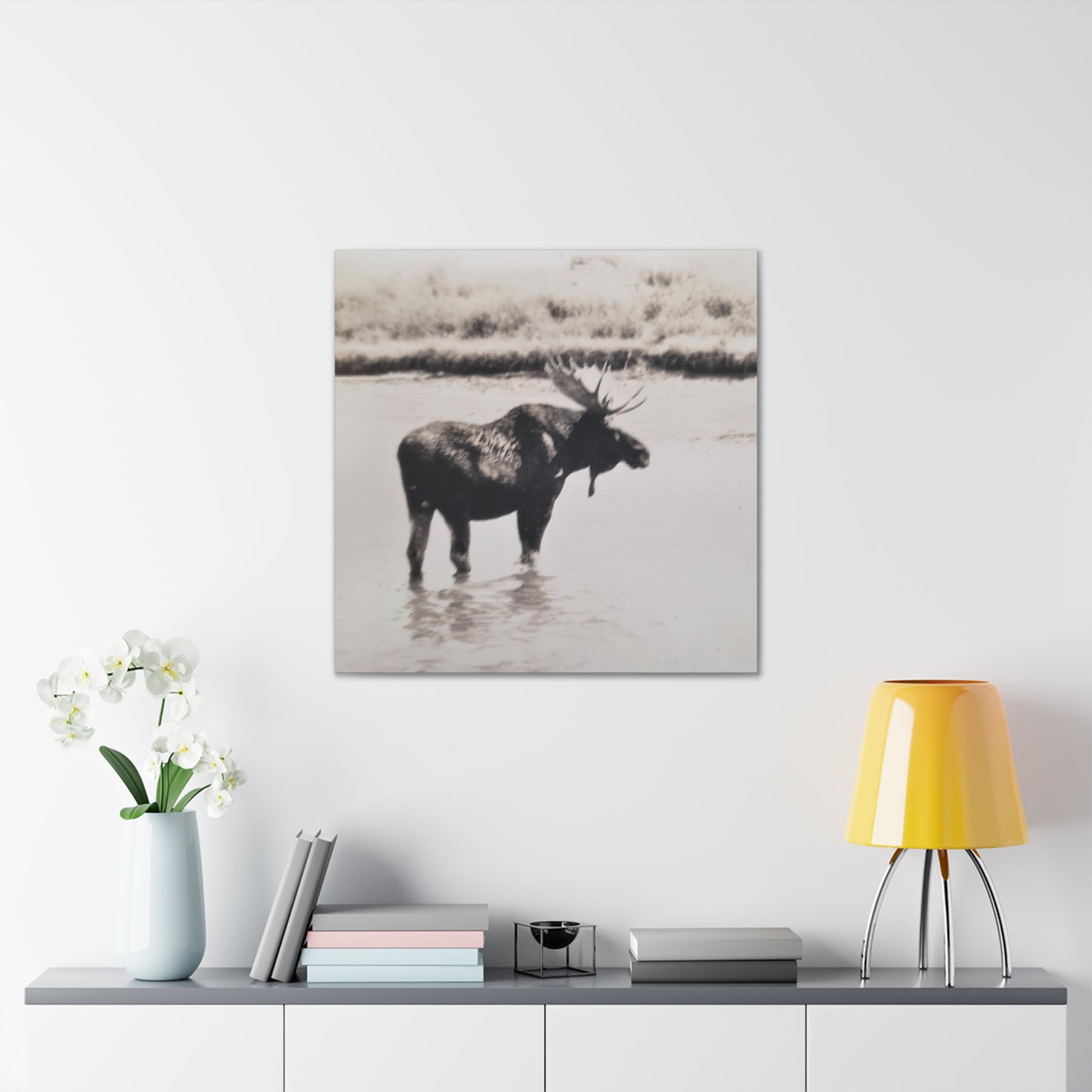 Yellowstone Bull Moose Canvas Gallery Wraps