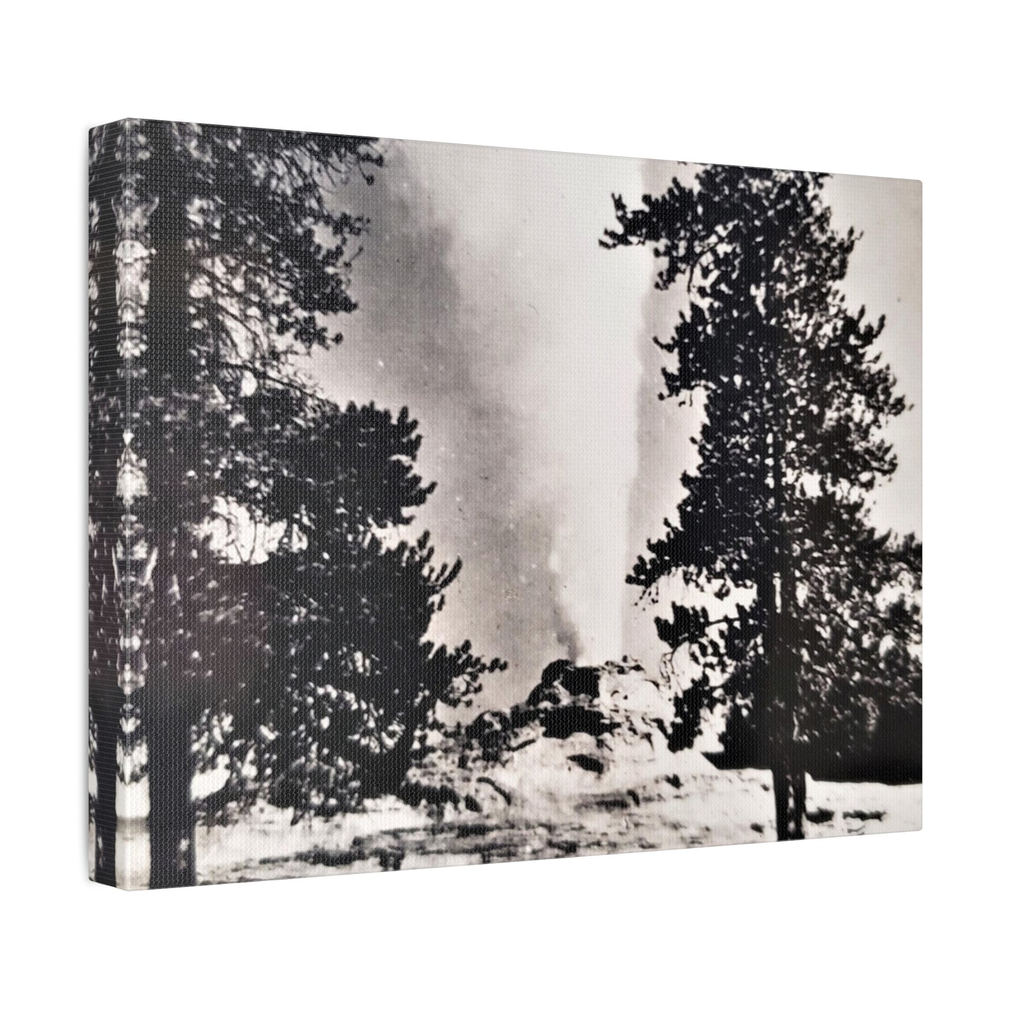 Castle Geyser Yellowstone Stretched Canvas