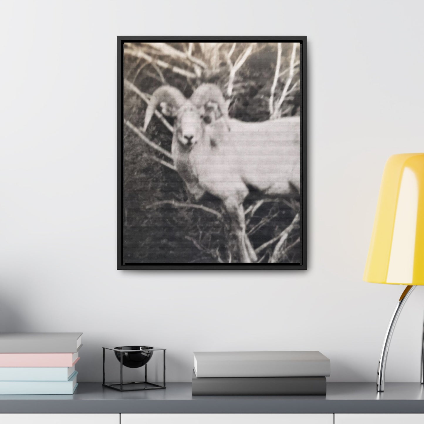 Yellowstone Big Horn Sheep Gallery Canvas Wraps Vertical Frame 16″ x 20″ Premium Gallery Wraps (1.25″) Black