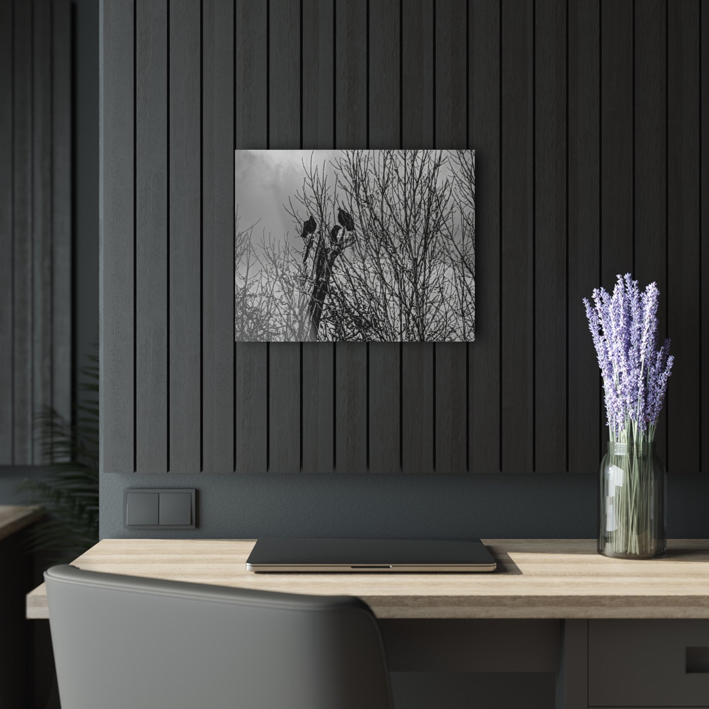 Black & White Buzzards in Winter Trees French Cleat Hanging - 20″ x 16″ (Horizontal) 0.25'' - Home Decor