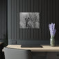 Black & White Buzzards in Winter Trees French Cleat Hanging - 20″ x 16″ (Horizontal) 0.25'' - Home Decor