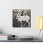 Yellowstone Big Horn Sheep Canvas Gallery Wraps 16″ x 16″ 1.25"
