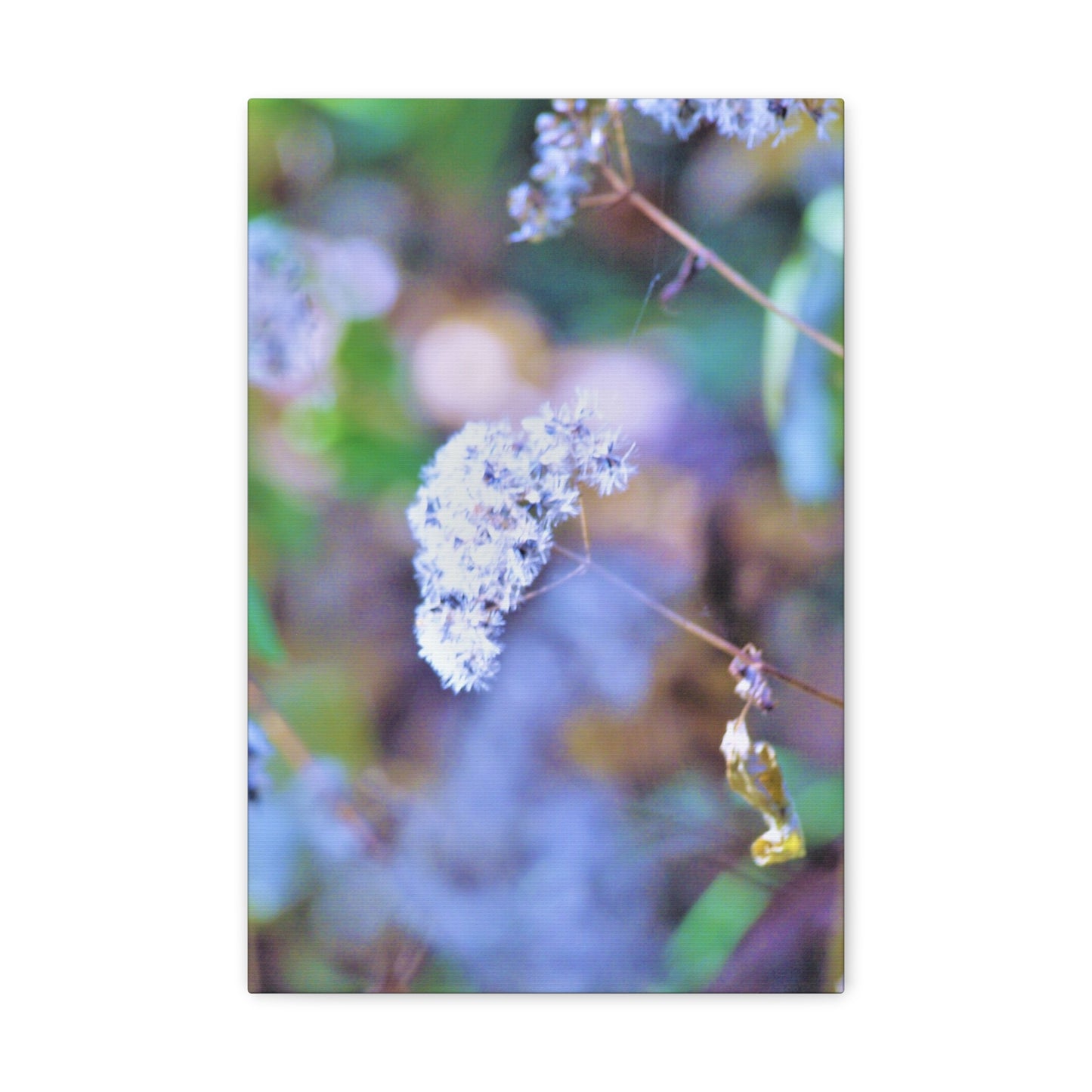 Macro Blue Canvas Gallery Wraps