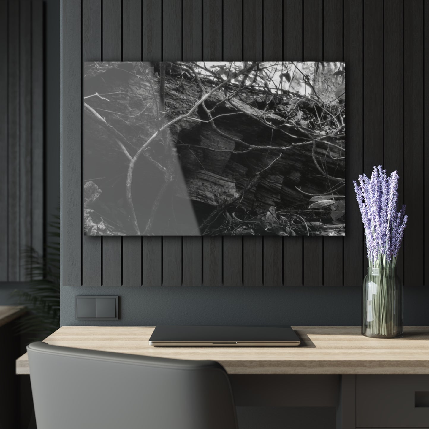 Black & White Forest Acrylic Print French Cleat Hang - 36" x 24" (Horizontal) 0.25'' - Home Decor