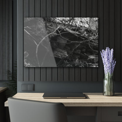 Black & White Forest Acrylic Print French Cleat Hang - 36" x 24" (Horizontal) 0.25'' - Home Decor