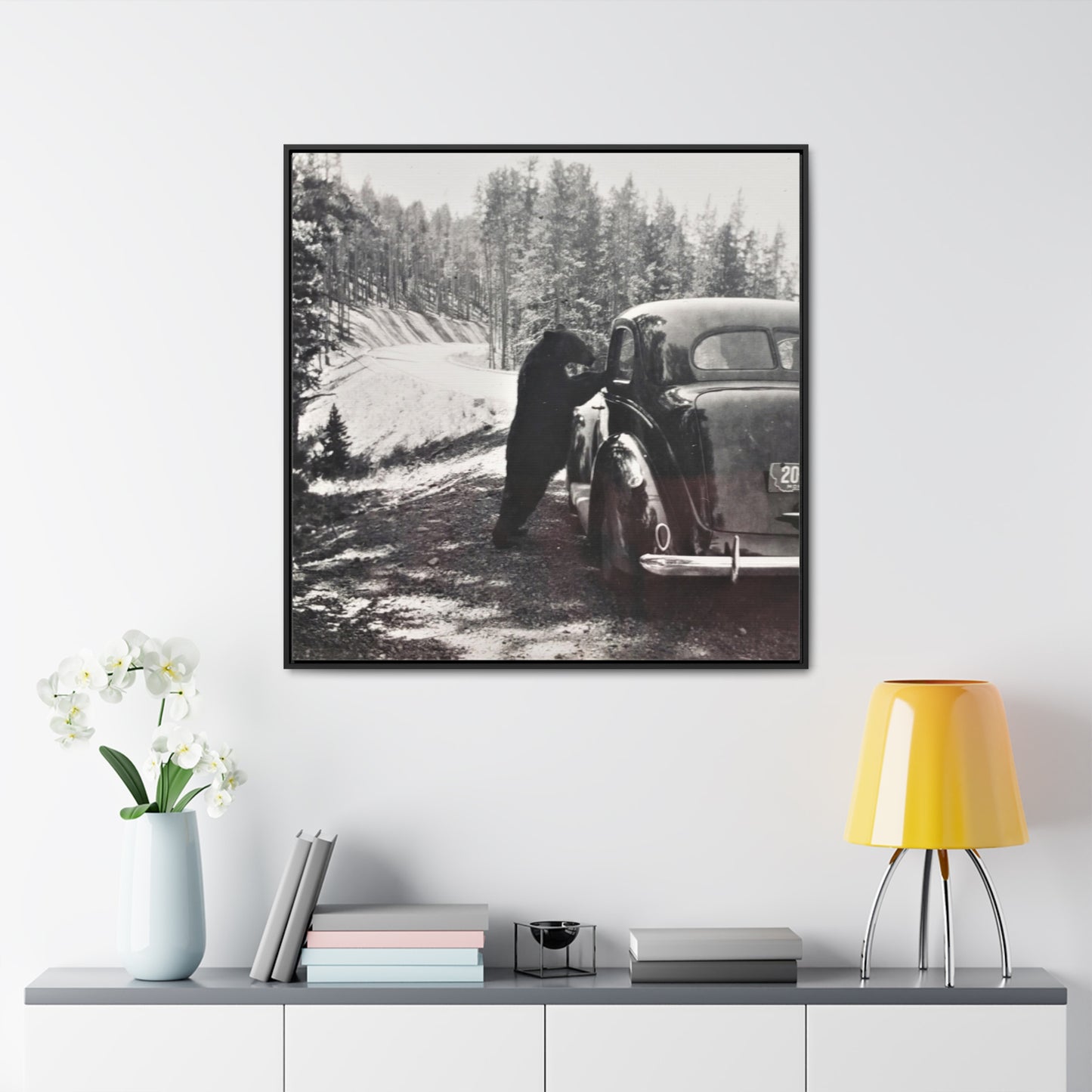 Yellowstone Bear Car Gallery Canvas Wraps, Square Frame