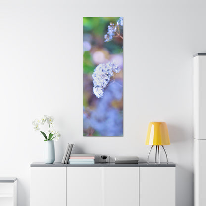 Macro Blue Canvas Gallery Wraps