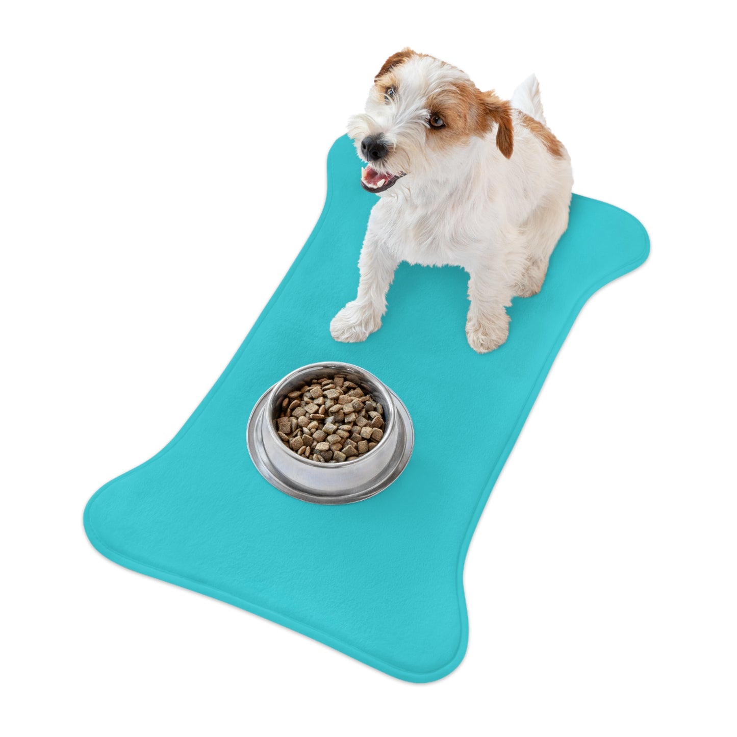 Teal Pet Feeding Mats