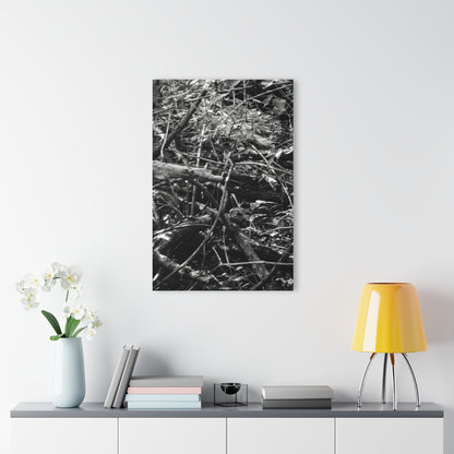 Black & White Deep Timber Path Acrylic Print French Cleat Hanging - - Home Decor