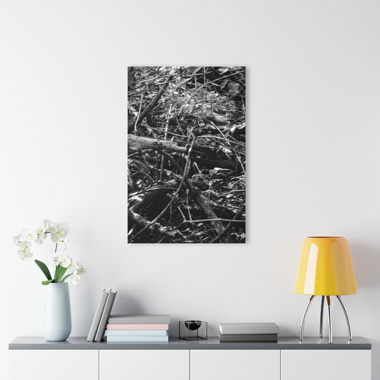 Black & White Deep Timber Path Acrylic Print French Cleat Hanging - - Home Decor