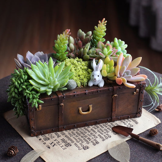 Vintage European Style Succulent Plant Pot Decor - - planter