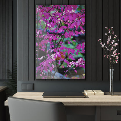 Fall Red Acrylic Prints 24" x 36" (Vertical) Glossy