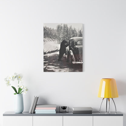 Yellowstone Bear Car Satin Canvas Stretched 24" x 30" (Vertical) 1.5"