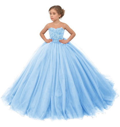 Lace Applique Tulle Flower Girl Gown - Sky Blue 4 - dress