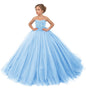 Lace Applique Tulle Flower Girl Gown - Sky Blue 4 - dress