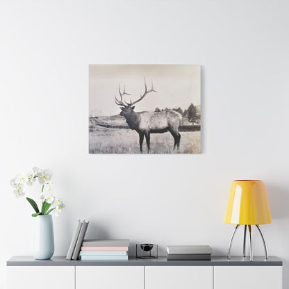 Yellowstone Bull Elk Satin Canvas Stretched 30" x 24" (Horizontal) 1.5"