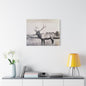 Yellowstone Bull Elk Satin Canvas Stretched 30" x 24" (Horizontal) 1.5"