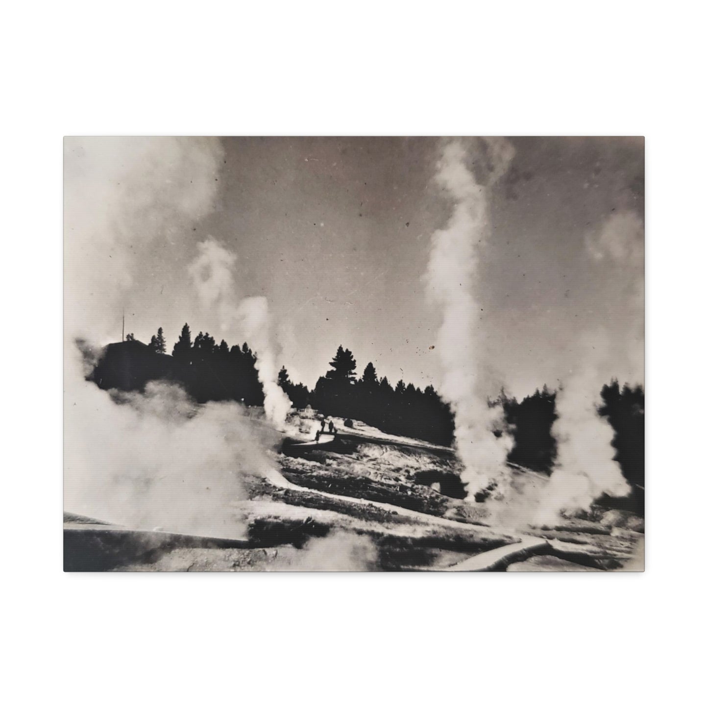 Norris Geyser Yellowstone Stretched Canvas