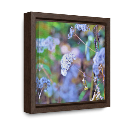 Macro Blue Gallery Canvas Wraps, Square Frame