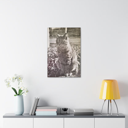 Caledonia Canvas Gallery Wraps 20″ x 30″ 1.25"