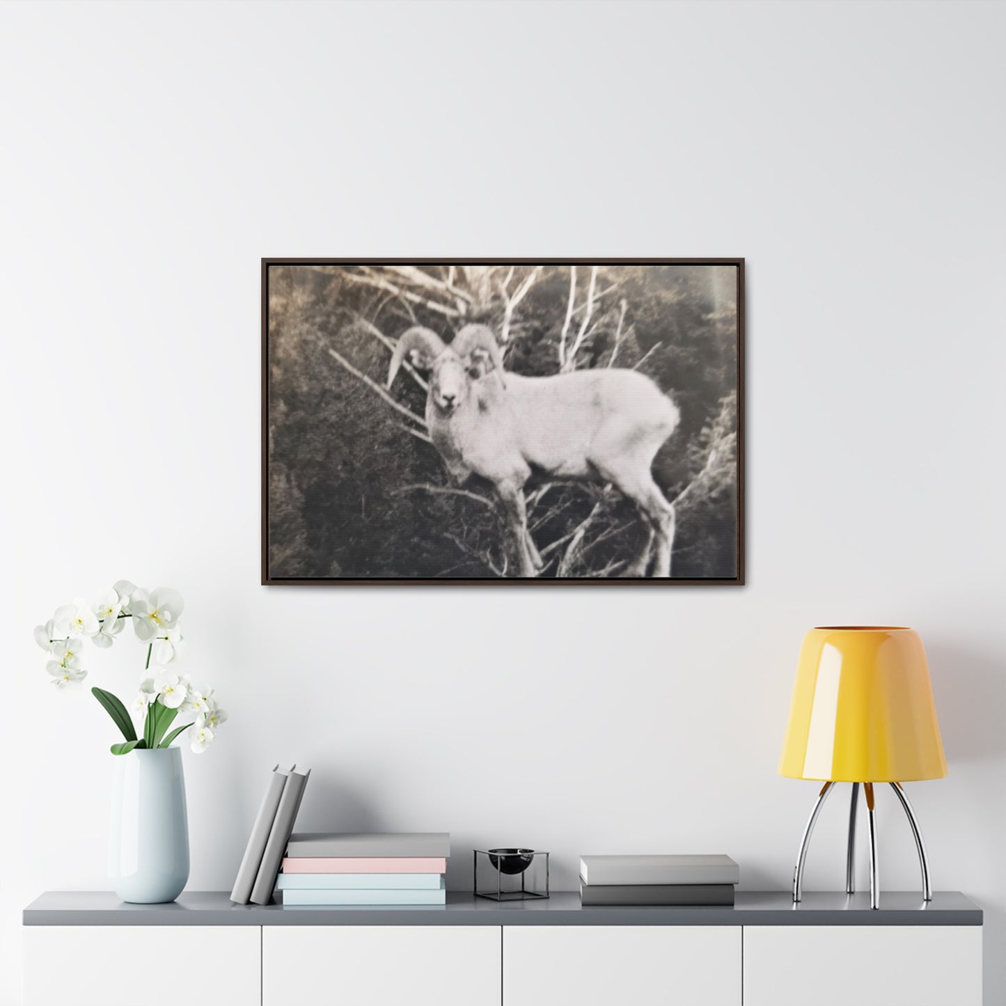 Yellowstone Big Horn Sheep Gallery Canvas Wraps, Horizontal Frame